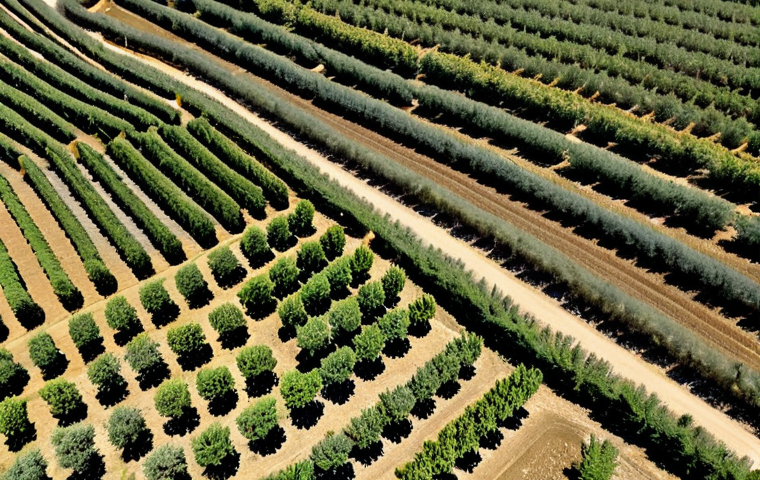 Smart Agriculture in Andalusia**

"A sunny aerial view of olive groves in Andalusia, Spain. Smart sensors are visible in the fields, monitoring soil moisture. Drones fly overhead, capturing images of the crops. Farmers in appropriate attire are using tablets to analyze data. Fully clothed, professional, safe for work, perfect anatomy, natural proportions, appropriate content, family-friendly, high quality."

**